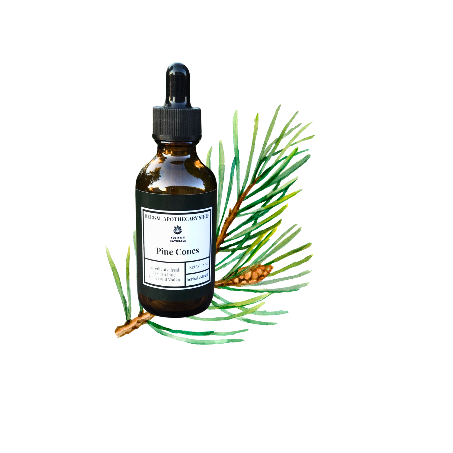 Healing with Yuliya at the Herbal Apothecary